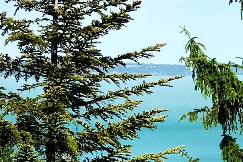 'New' Sunkissed Villa On The Old Hill Balatonalmádi エクステリア 写真