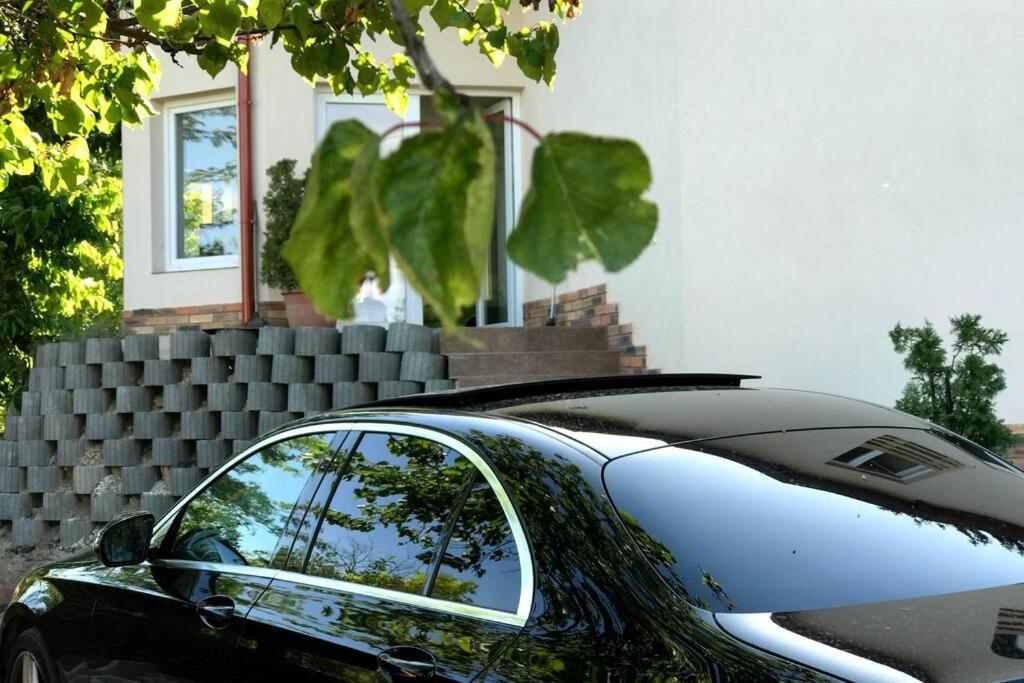 'New' Sunkissed Villa On The Old Hill Balatonalmádi エクステリア 写真