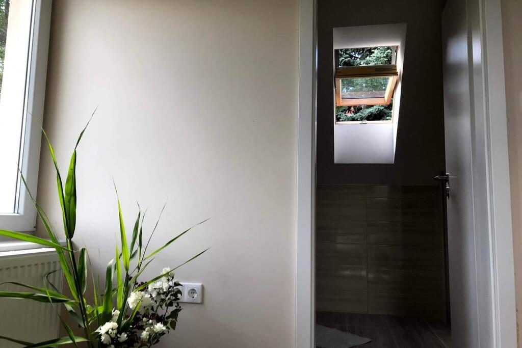 'New' Sunkissed Villa On The Old Hill Balatonalmádi エクステリア 写真