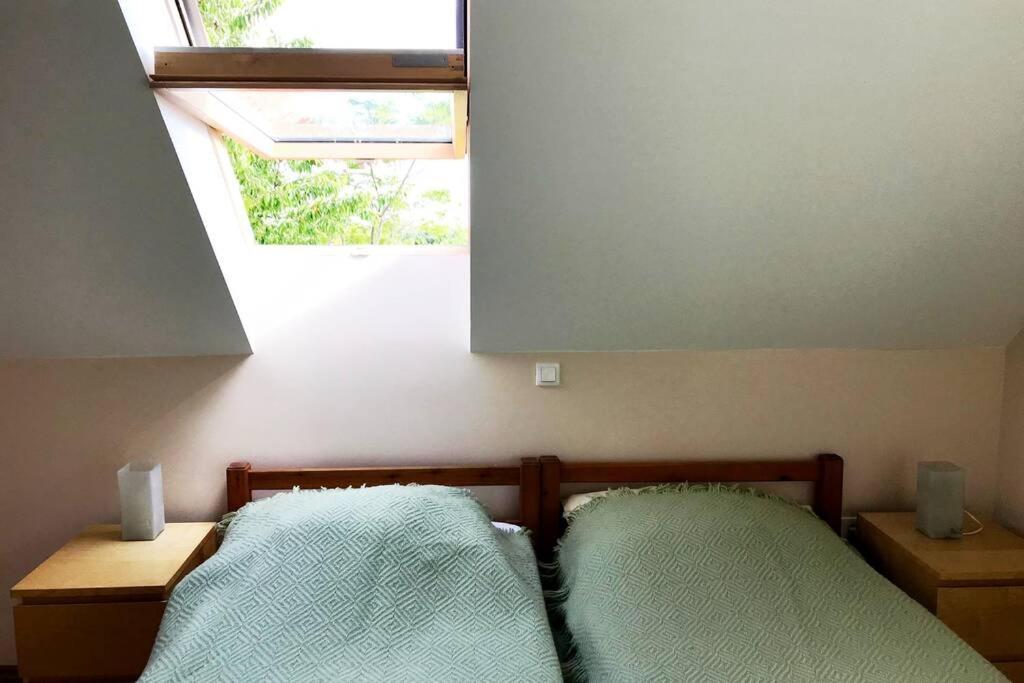 'New' Sunkissed Villa On The Old Hill Balatonalmádi エクステリア 写真