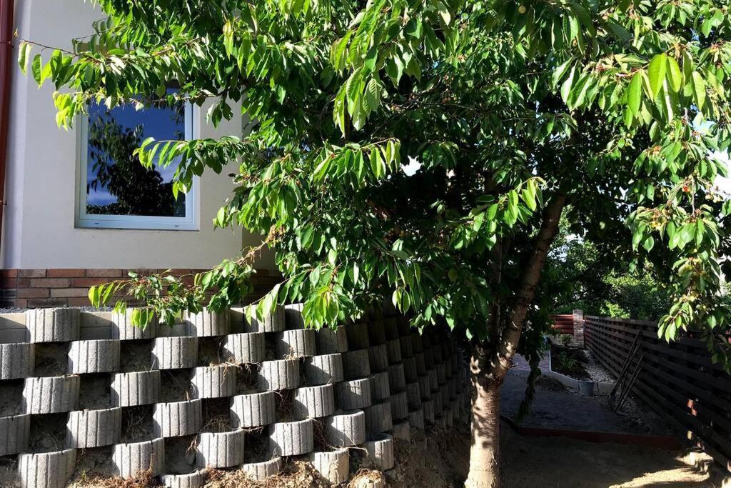 'New' Sunkissed Villa On The Old Hill Balatonalmádi エクステリア 写真
