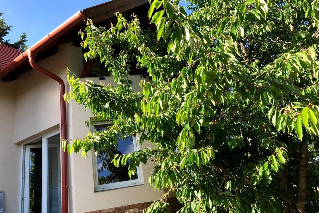 'New' Sunkissed Villa On The Old Hill Balatonalmádi エクステリア 写真