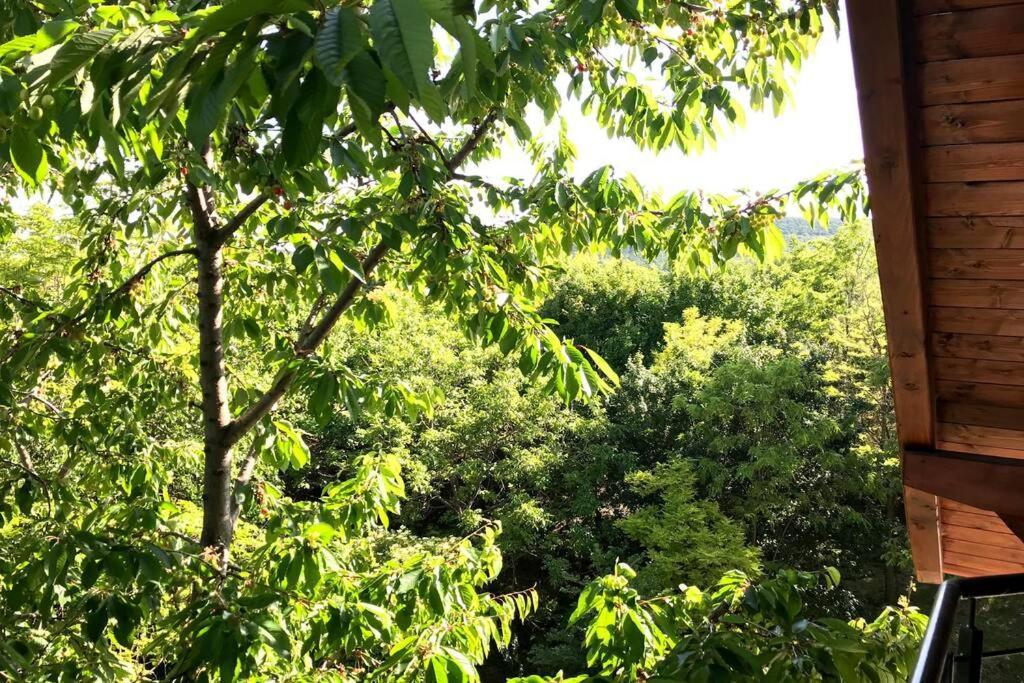 'New' Sunkissed Villa On The Old Hill Balatonalmádi エクステリア 写真