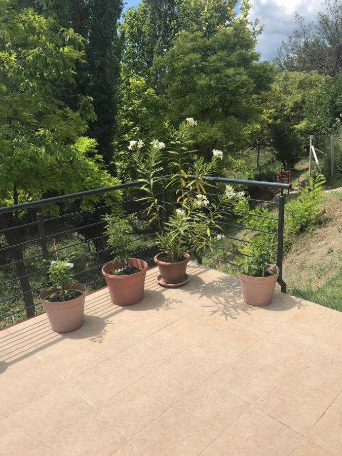 'New' Sunkissed Villa On The Old Hill Balatonalmádi エクステリア 写真