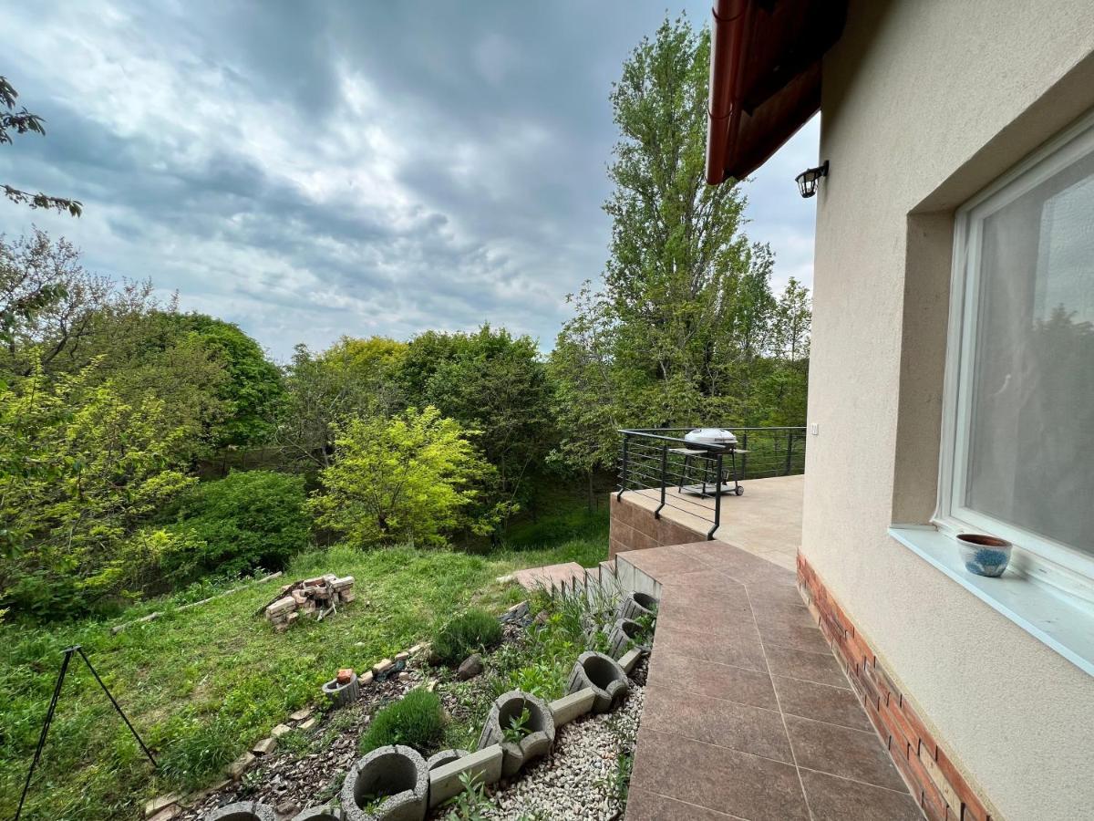 'New' Sunkissed Villa On The Old Hill Balatonalmádi エクステリア 写真